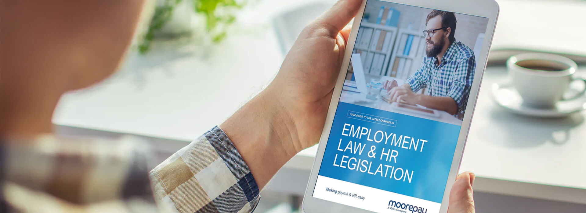 employment law guide download
