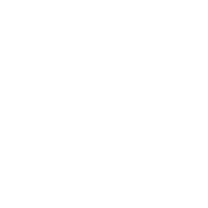 pp logo white