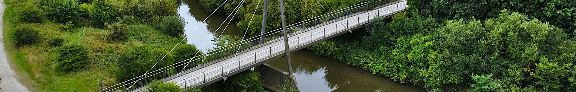 bridge with greenery banner