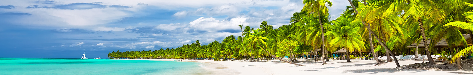 white sand beaches banner