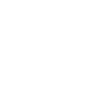 paragon logo white