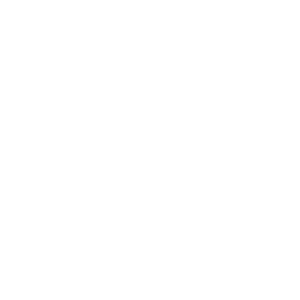 haydock logo white