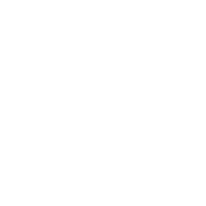 needlers logo white