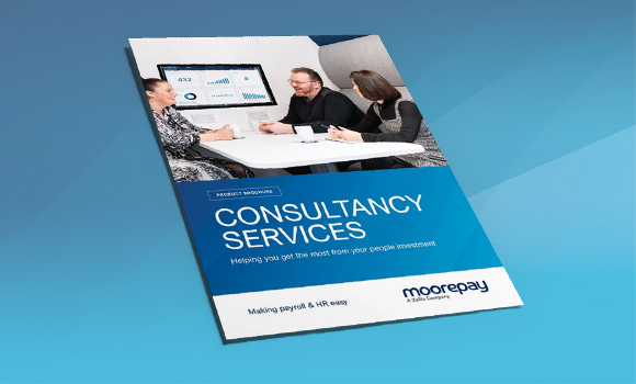 consultancy services brochure