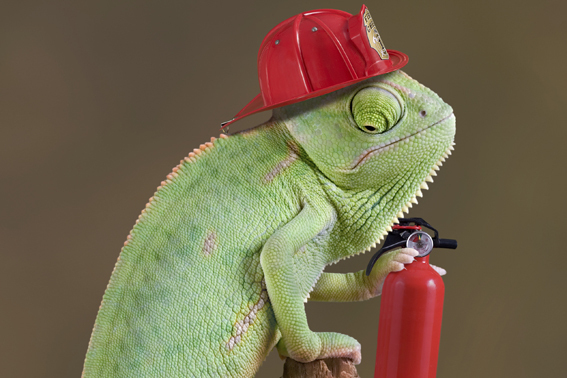 Chameleon firefighter