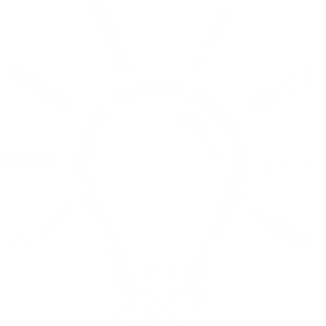 lightbulb icon