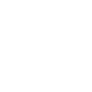 pall mall logo