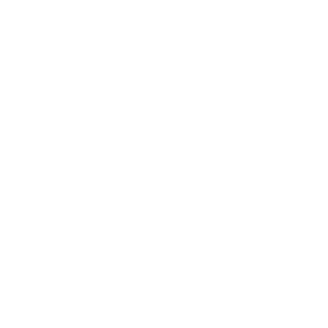 recticel logo white