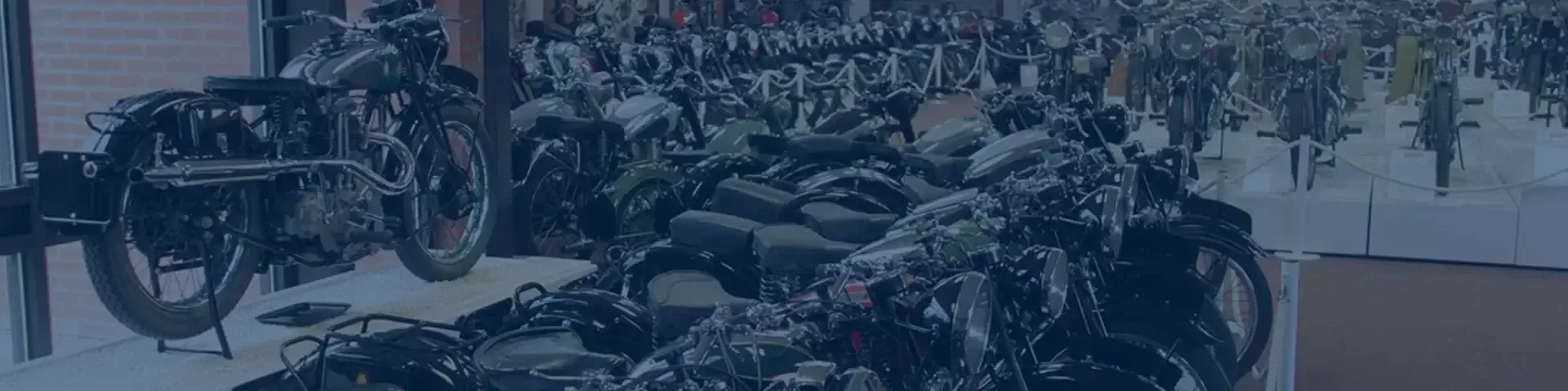 motorbikes on stands in rows in a store